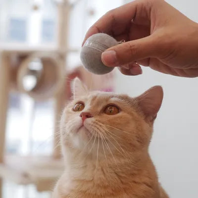 Cheerble Wicked Ball Electronic Cat Toy – Grey