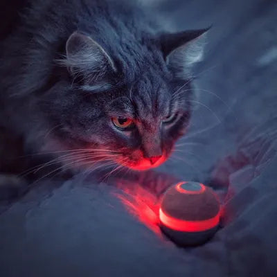 Cheerble Wicked Ball Electronic Cat Toy – Grey