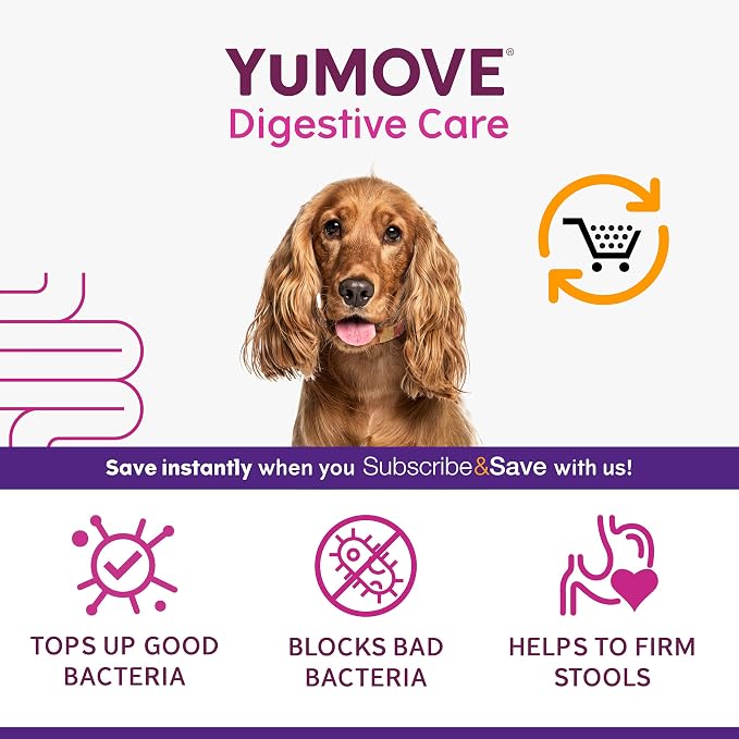 YuMOVE Dog Pre & Probiotics ActivBio – 120 Tablets for Natural Gut Support