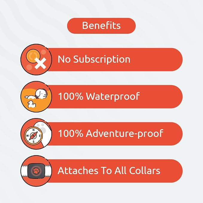 PitPat Dog Activity & Fitness Monitor – No GPS, No Subscription, 100% Waterproof