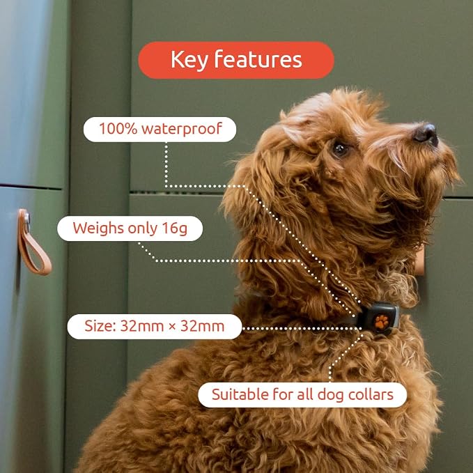 PitPat Dog Activity & Fitness Monitor – No GPS, No Subscription, 100% Waterproof