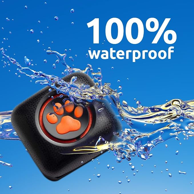 PitPat Dog Activity & Fitness Monitor – No GPS, No Subscription, 100% Waterproof