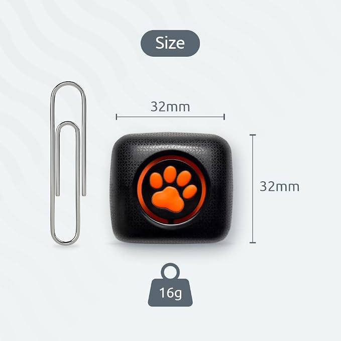 PitPat Dog Activity & Fitness Monitor – No GPS, No Subscription, 100% Waterproof